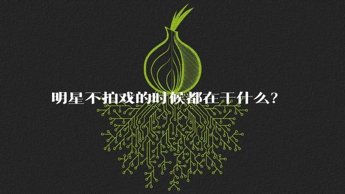 明星不拍戏的时候都在干什么？